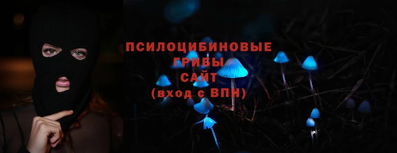 Псилоцибиновые грибы Psilocybe  Беломорск 